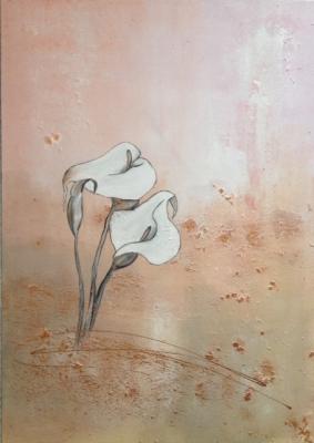 Calla - 70/100 - 2014