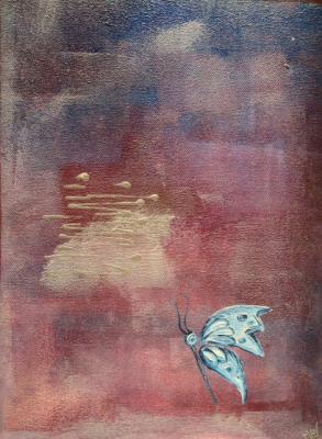 Papillon 30/40 - 2015